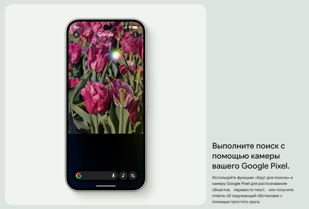 google-pixel11