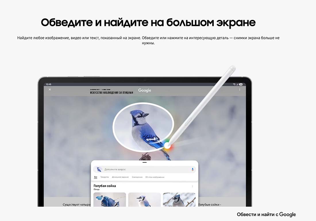 galaxy-tab-s10-fe в Чебоксарах galaxy-tab-s10-fe